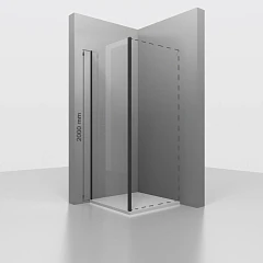 Душевая боковая стенка RGW Z-050-3B 100*200 профиль черный