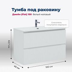 Тумба под раковину Aquanet Джейн (Flat) 100 белый матовый