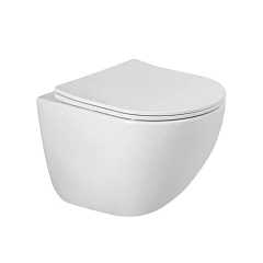Подвесной унитаз BelBagno Amanda-Tor BB051CH-TOR-FC/SC 36*49,5 безободковый с системой смыва "Торнадо" с крышкой-сиденьем микролифт Подвесной унитаз BelBagno Amanda-Tor BB051CH-TOR-FC/SC 36*49,5 безободковый с системой смыва "Торнадо" с крышкой-сиденьем микролифт