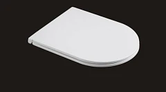 Крышка-сиденье WeltWasser WW SK 009 GL-WT с микролифтом Slim (для Merzbach 002, Salzbach 004) Крышка-сиденье WeltWasser WW SK 009 GL-WT с микролифтом Slim (для Merzbach 002, Salzbach 004)