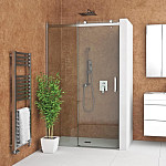Душевая дверь в нишу Roth Ambient Line AMD2 120*200 без поддона Душевая дверь в нишу Roth Ambient Line AMD2 120*200 без поддона